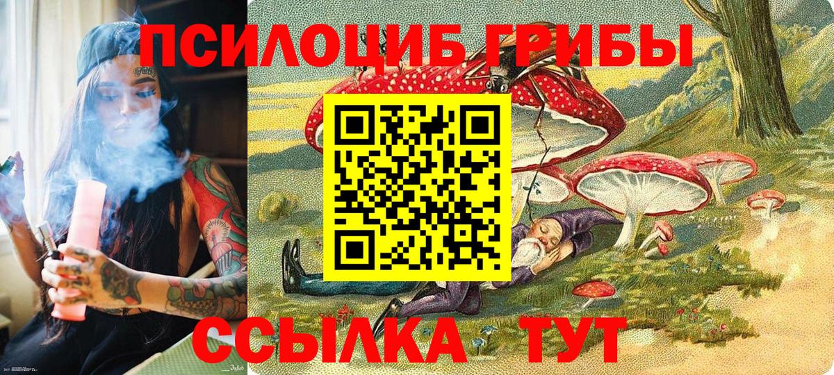 Заречный  Псилоцибиновые грибы прущие грибы  Вход с VPN 