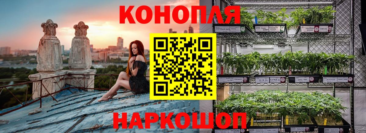 Бошки марихуана VHQ  Вход с VPN  Заречный  Каннабис Ganja 